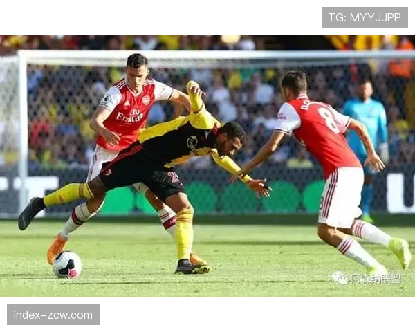 深圳新鹏城后防线引援不足 本科维奇杨一鸣组合待考验